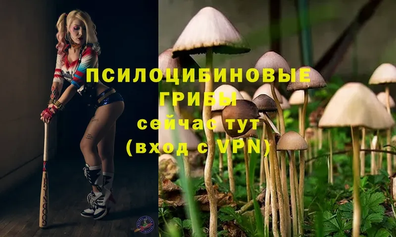 Псилоцибиновые грибы MAGIC MUSHROOMS  Алексин 